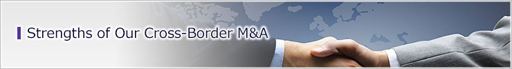 Strengths of Our Cross-Border M&A