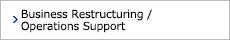 Business Restructuring / Operations Support