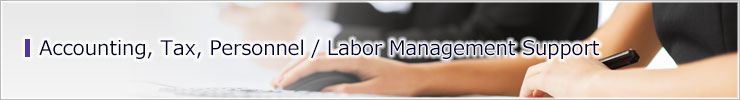 Accounting, Tax, Personnel/Labor Management Support