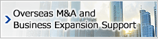 Overseas M&A and Business Expansion Support